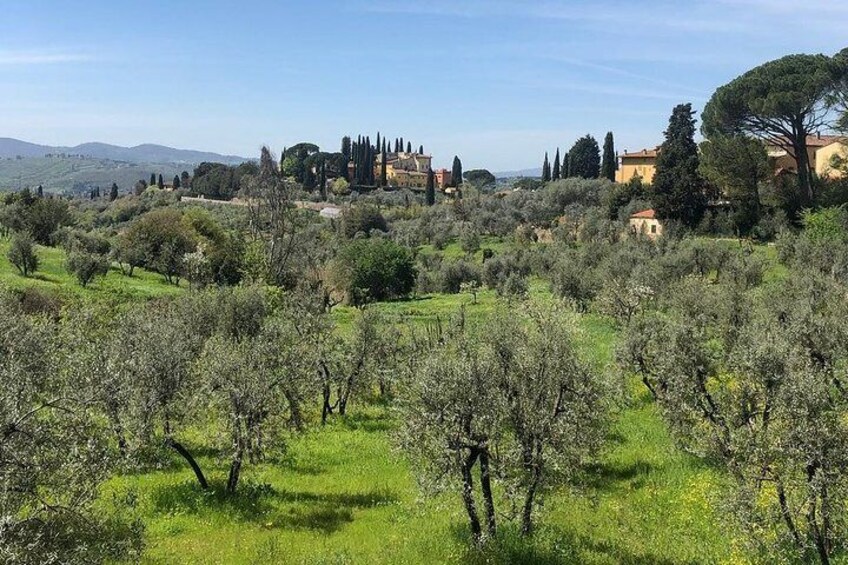 E-Bike Florence Tuscany Self-Guided Ride with Vineyard Visit