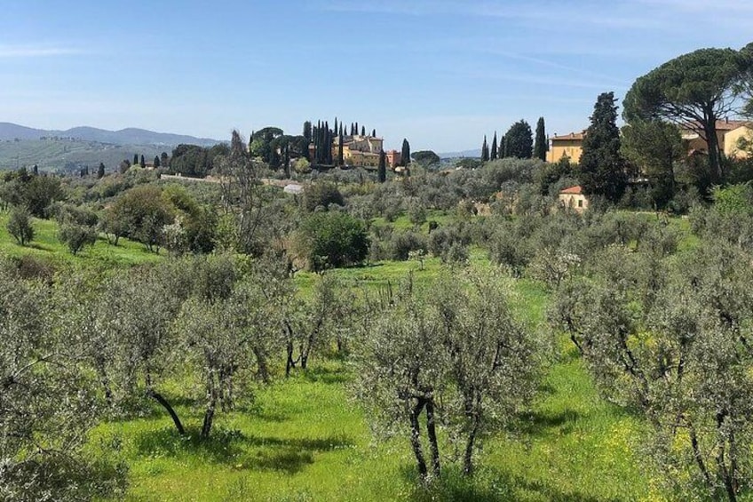 E-Bike Florence Tuscany Self-Guided Ride with Vineyard Visit