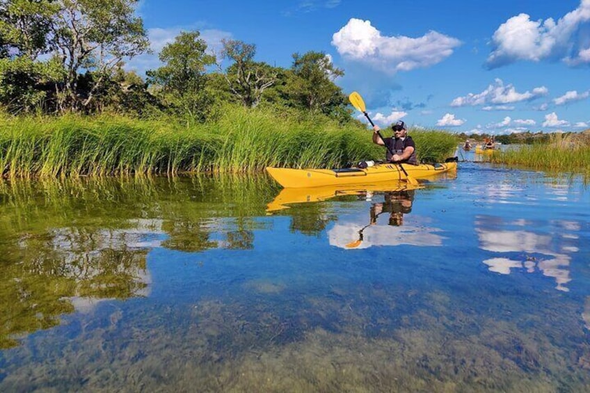 1-Day Small-Group Stockholm Archipelago Kayak Tour