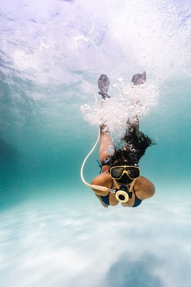 Champagne Brunch & Aqua Safari