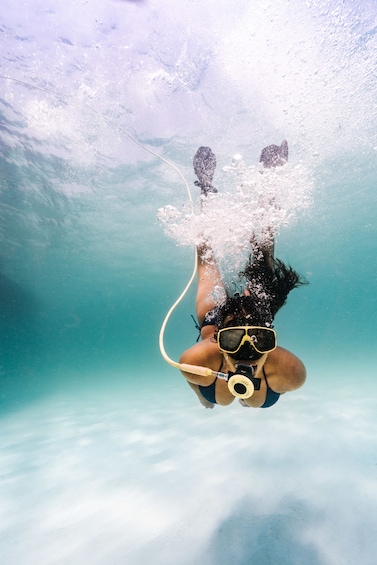 Champagne Brunch & Aqua Safari