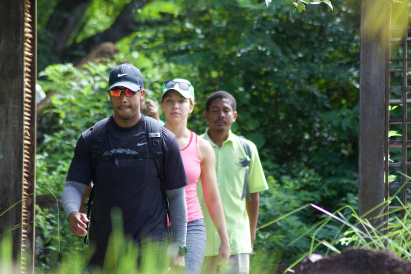 Hike the Pitons