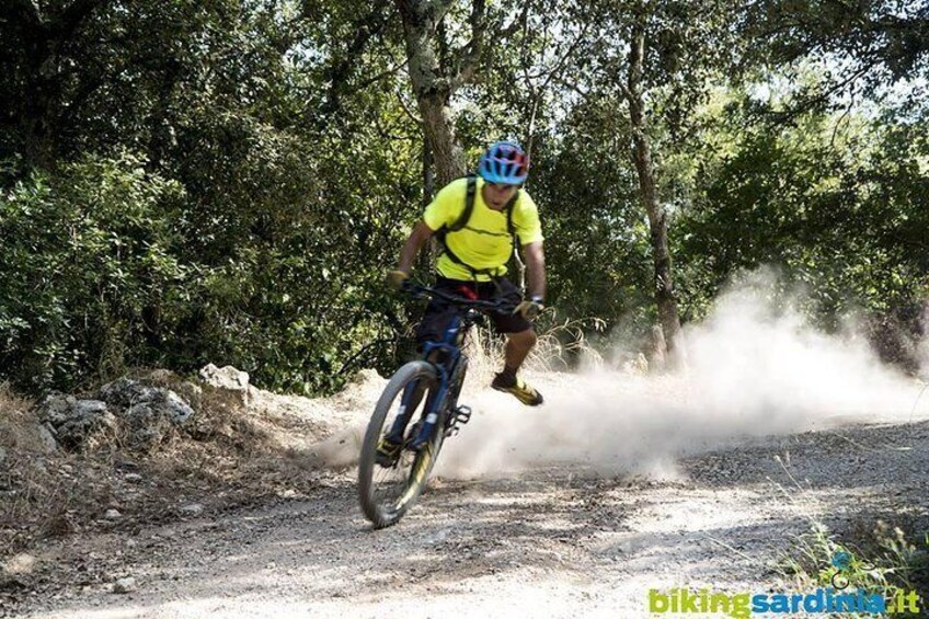 MTB ride fast 