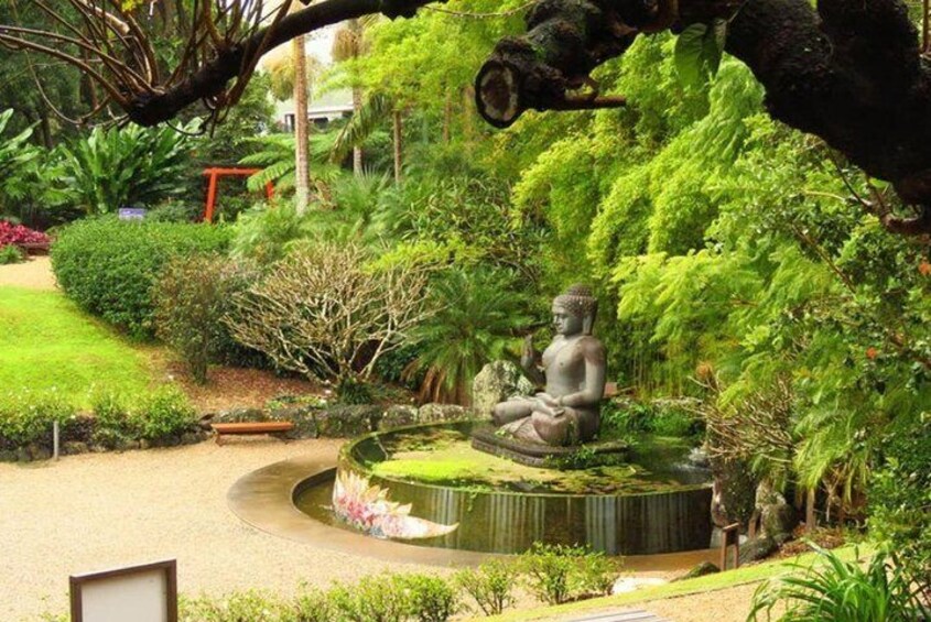 From Byron Bay to Crystal Castle 4.5 Hours Tour
