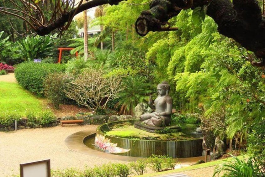 From Byron Bay to Crystal Castle 4.5 Hours Tour