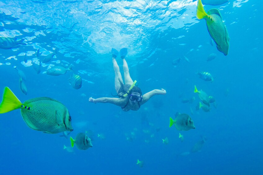 Snorkel & Sea Adventure with visit to the famous arch