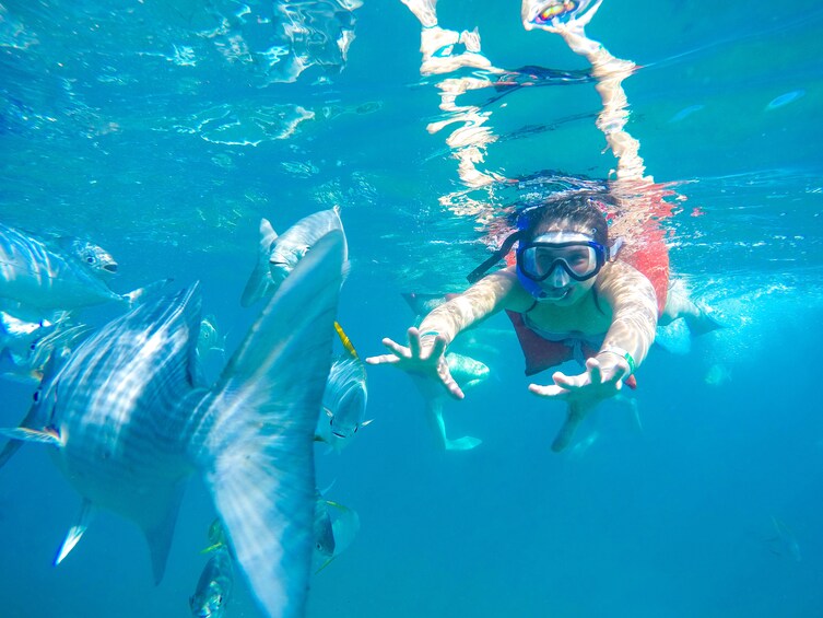 Snorkel & Sea Adventure with visit to the famous arch