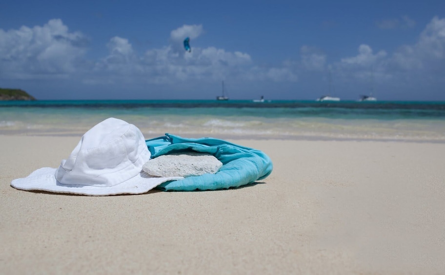 Catamaran Cruise, Snorkel & Beach Experience at Cades Reef