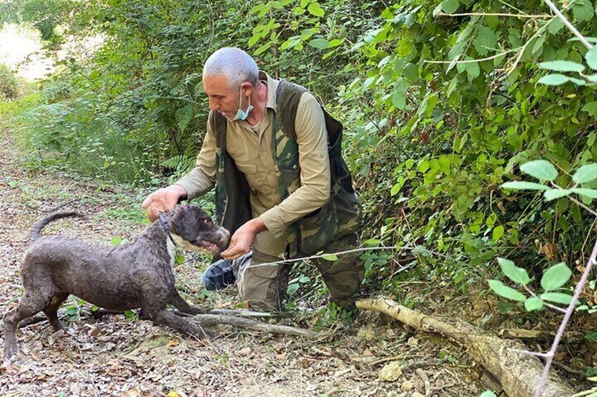 The truffle hunter dog 