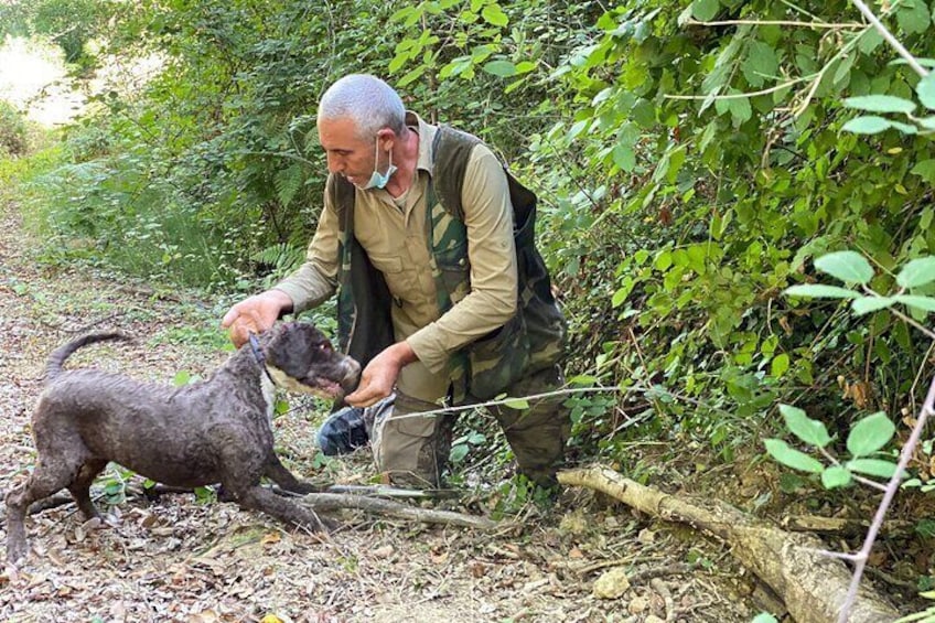 The truffle hunter dog