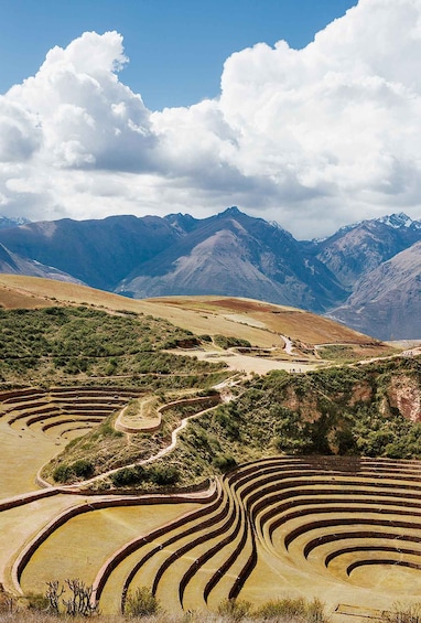 Full Day Moray and Salt Mines of Maras with buffet lunch