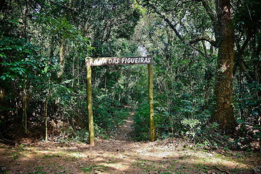 Private Atlantic Forest Eco Tour at Cantareira State Park