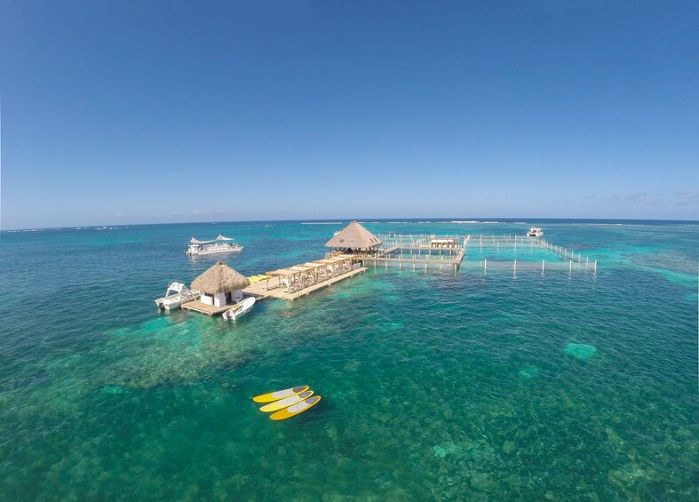 Glass-bottom Catamaran with Snorkeling, Stingrays & Sharks