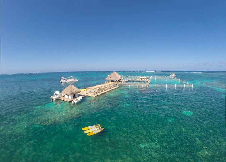 Glass-bottom Catamaran with Snorkeling, Stingrays & Sharks