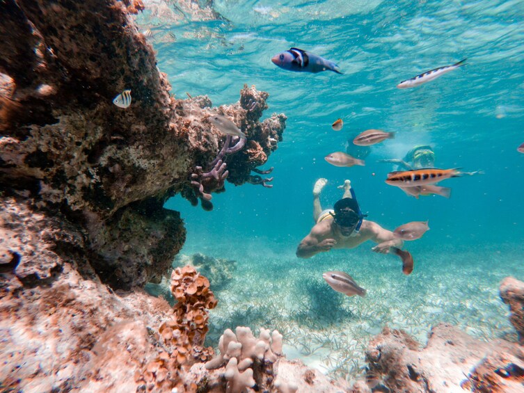 Glass-bottom Catamaran with Snorkeling, Stingrays & Sharks