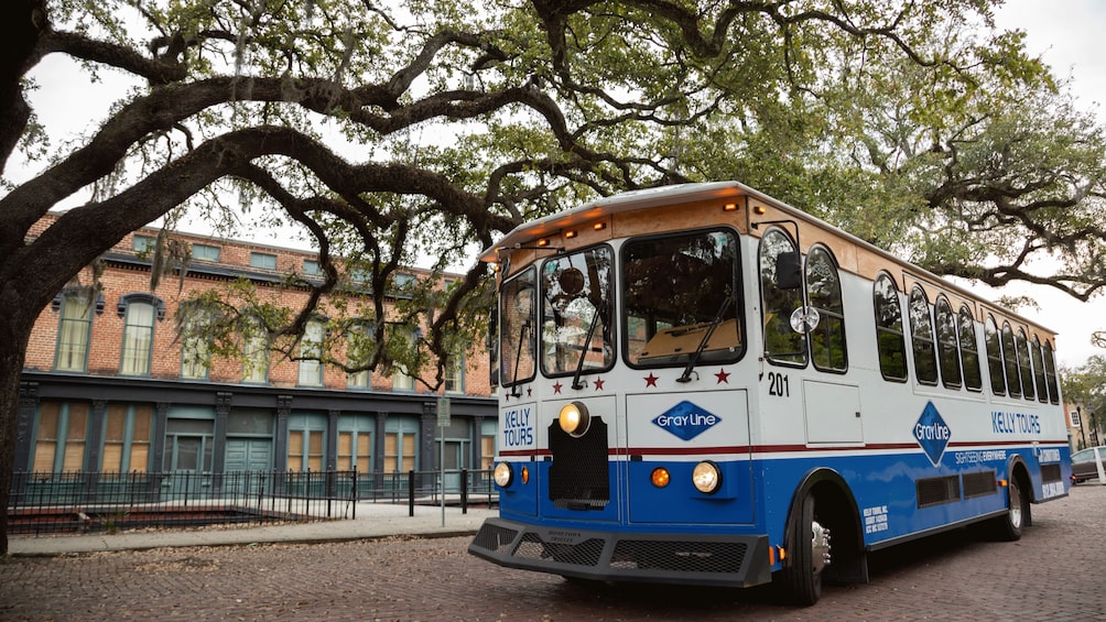 Explore Savannah Trolley Tour W/ Unlimited Shuttle Service
