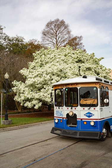 Explore Savannah Trolley Tour W/ Unlimited Shuttle Service
