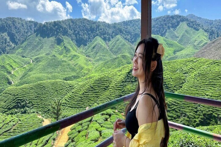 Cameron Highlands Day Tour from Kuala Lumpur with Lunch (SIC - Shared Tours)