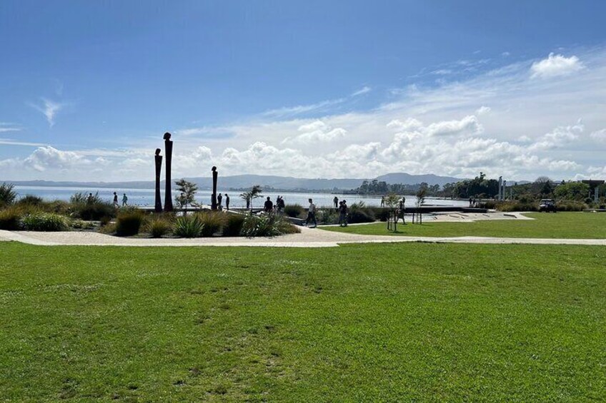 Private Day Trip Transport To Te Puia Rotorua