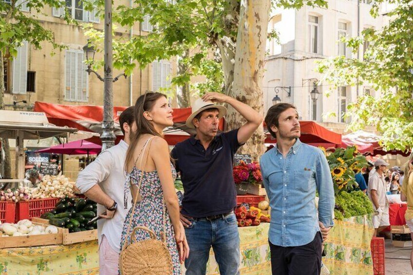Luberon Market & Villages from Avignon