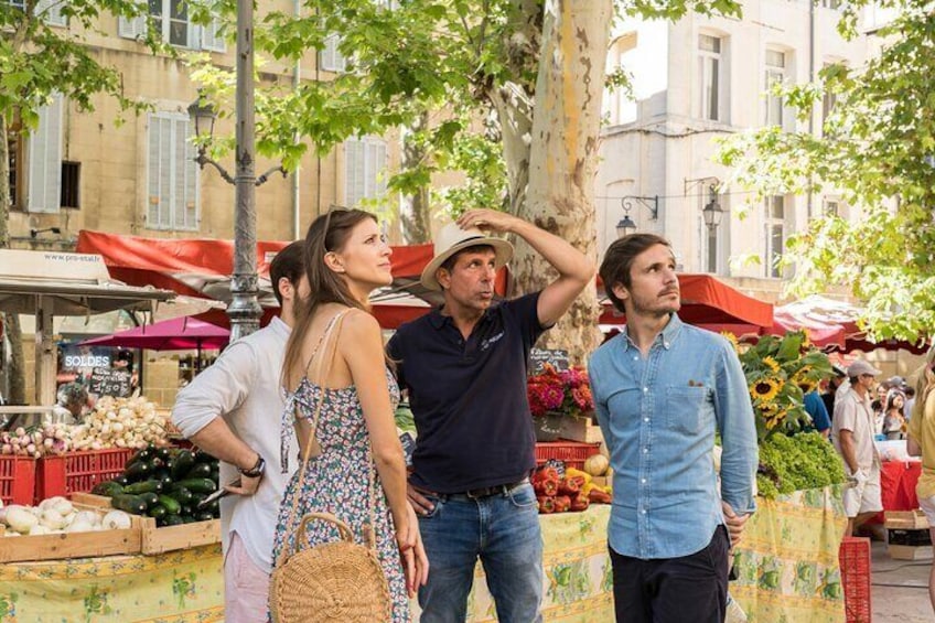 Luberon Market & Villages from Avignon