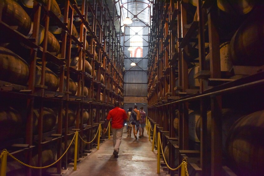 Appleton Estate Rum Factory Tour