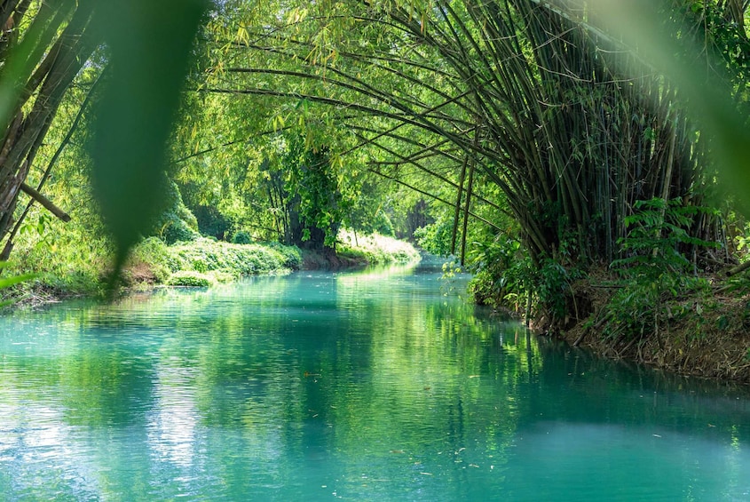 Bamboo River Rafting On The Martha Brae