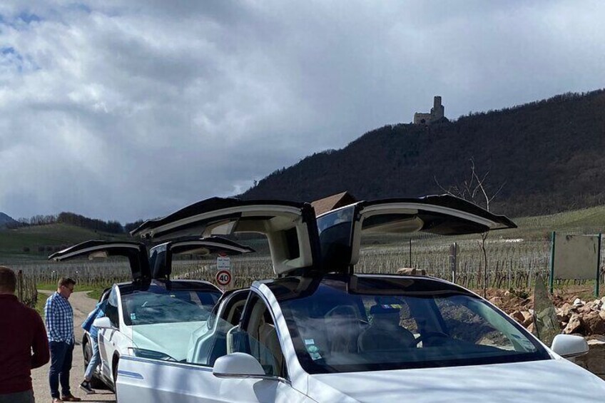 "Le petit Alsacien" Tour with Local private friendly driver and a Tesla 