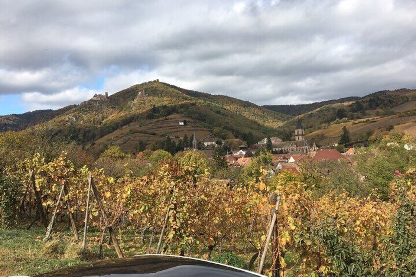 "Le petit Alsacien" Tour with Local private friendly driver and a Tesla