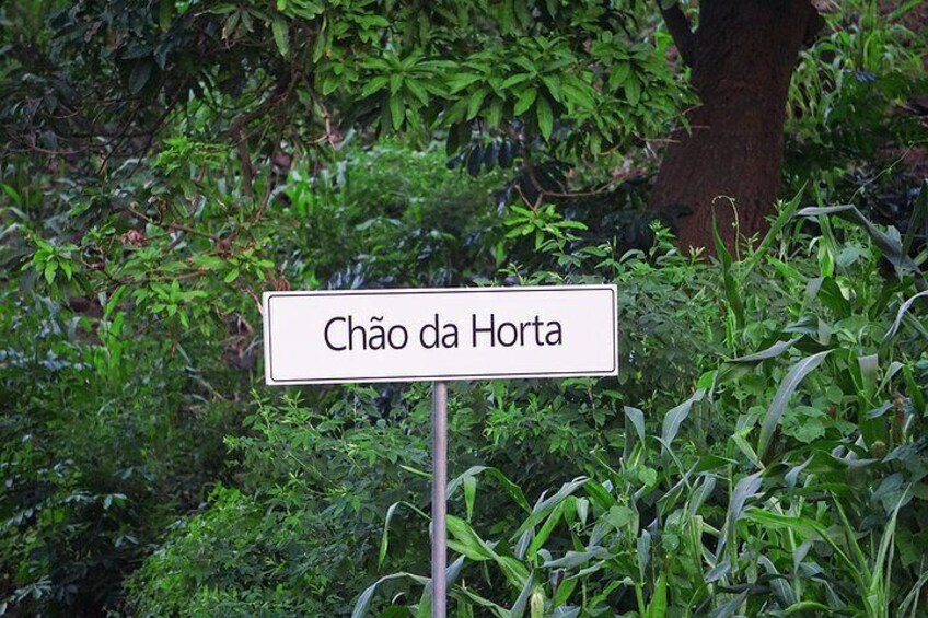 Santiago Island: Serra Malagueta & Principal, Chão da Horta Trek