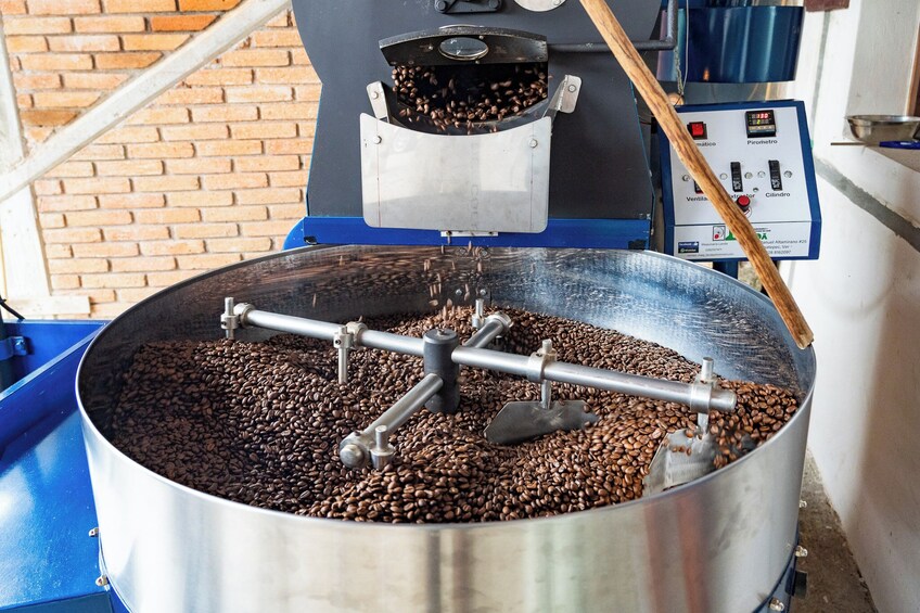 From Huatulco: Pluma Coffee, Origin and Essence
