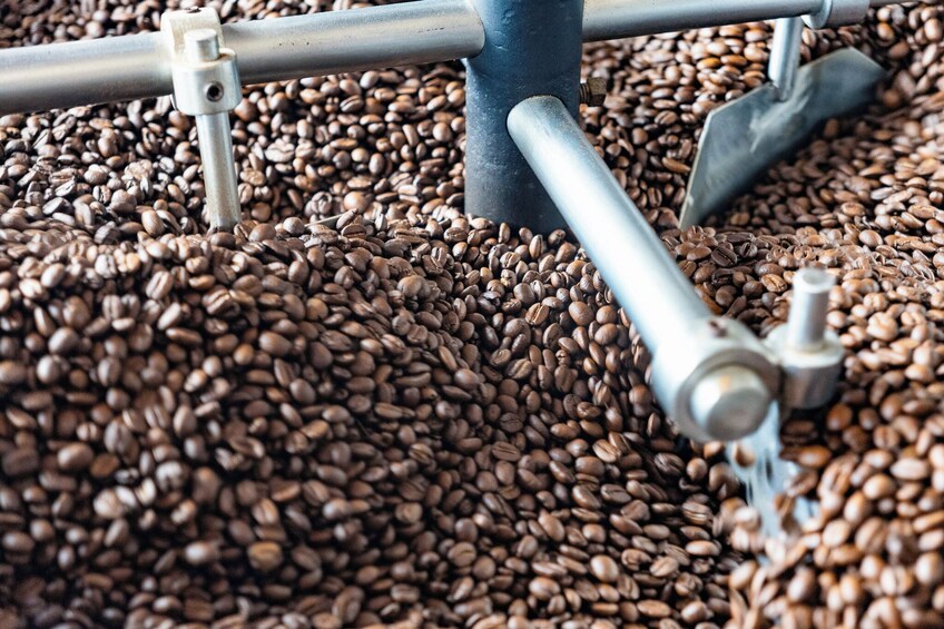From Huatulco: Pluma Coffee, Origin and Essence