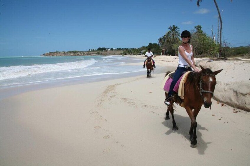 Beach Horse Back Riding Rancho Lorilar