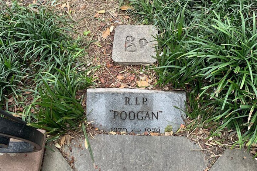 Poogan the pooch's final resting place. But he quickly returned.