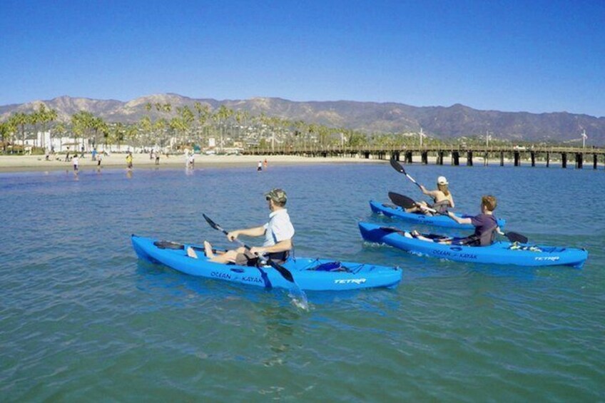 Kayak or Stand Up Paddle Board Rental