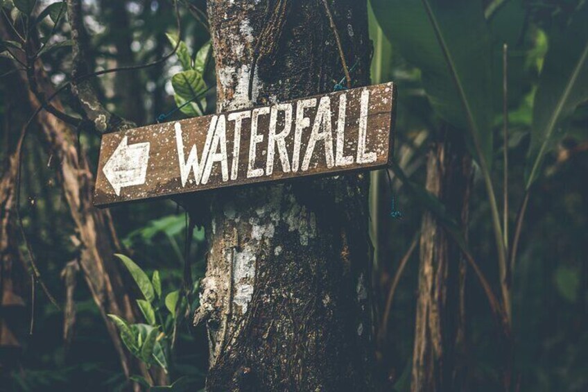 Best of Ubud Waterfalls Private Tour