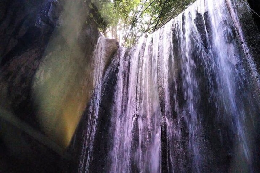 Best of Ubud Waterfalls Private Tour
