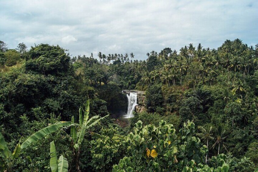 Best of Ubud Waterfalls Private Tour