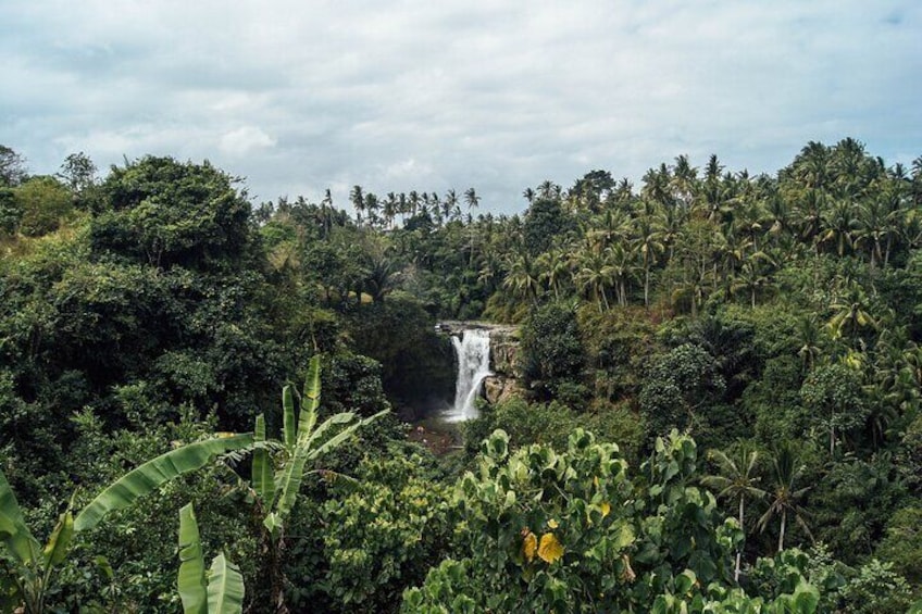 Best of Ubud Waterfalls Private Tour