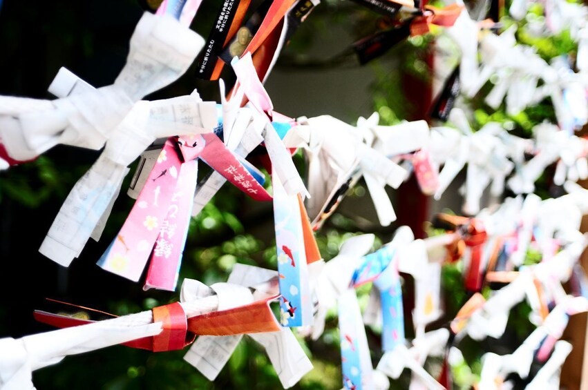 Tokyo: Made In Japan Cultural Curiosities Tour