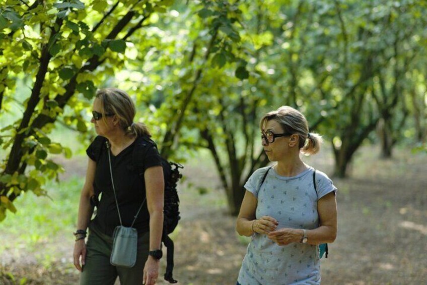 Langhe Truffle hunting Experience