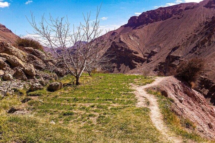 Marrakech & Desert 3-Days