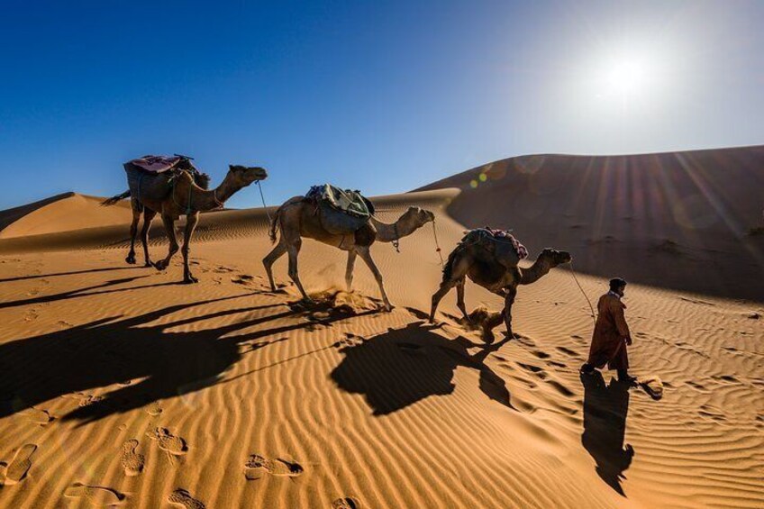 Marrakech & Desert 3-Days