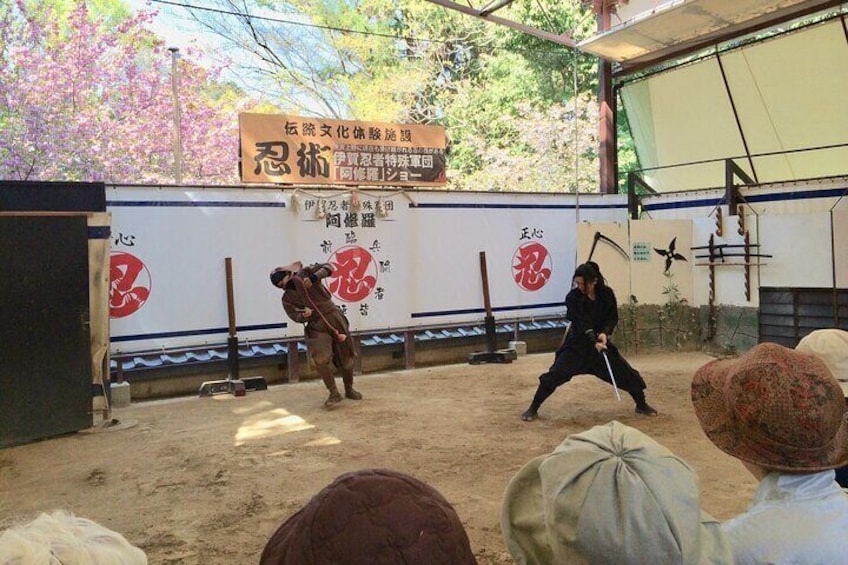 Full-Day Ninja Unique Experience in Iga