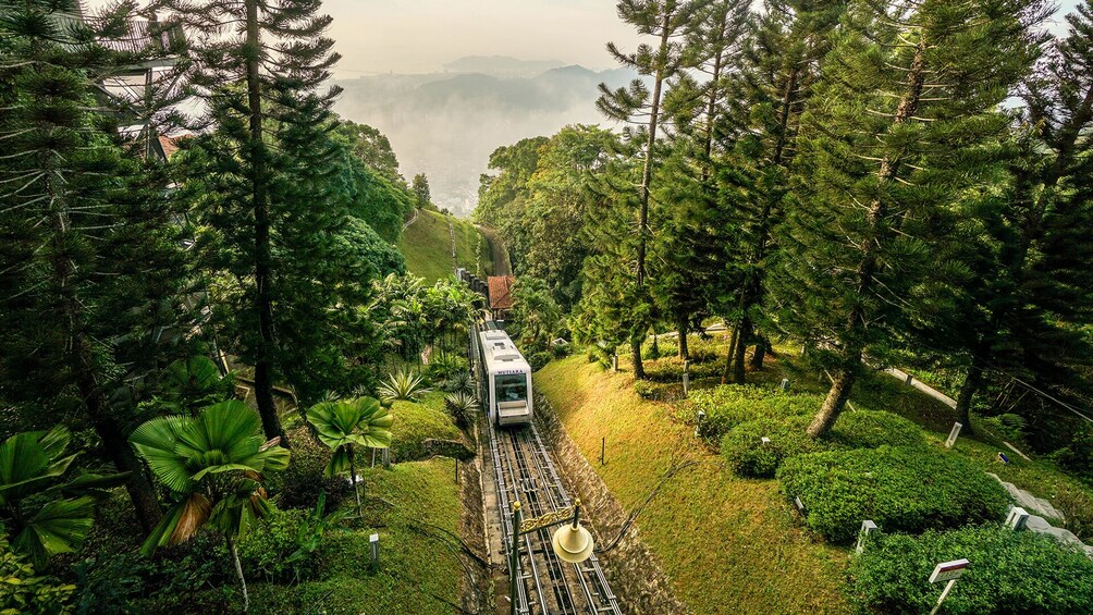 Private Penang Hill & High Tea at David Brown's Restaurant