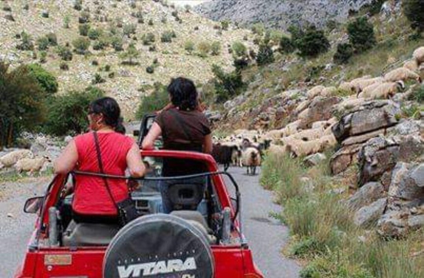 4x4 Jeep Safari Tour with Lunch