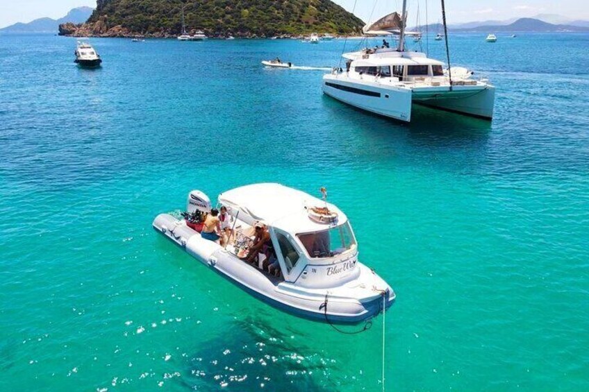 Observation of Dolphins and Snorkeling in a rubber boat in Olbia