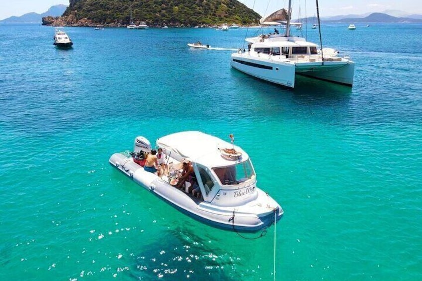 Observation of Dolphins and Snorkeling in a rubber boat in Olbia
