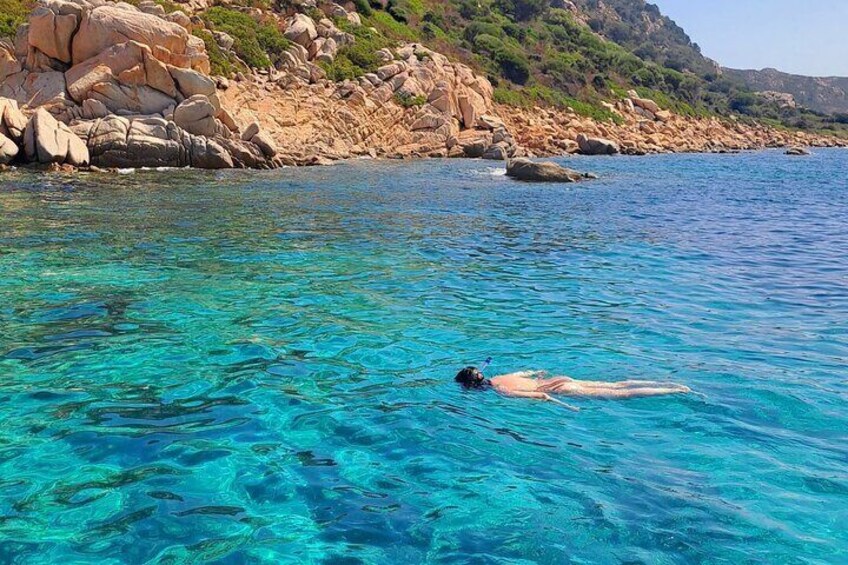 Snorkeling in Figarolo