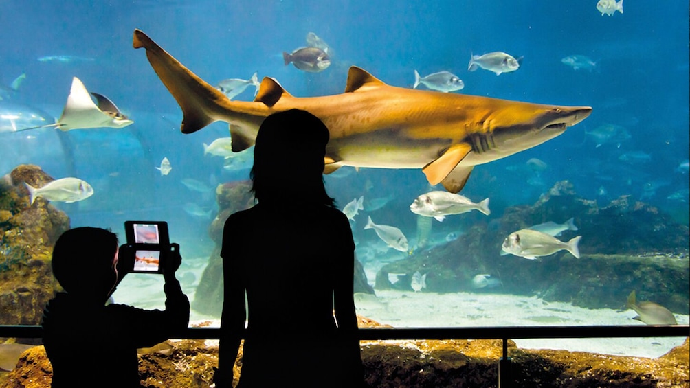 Go City: Barcelona Explorer Pass - Choose 2 to 7 Attractions
